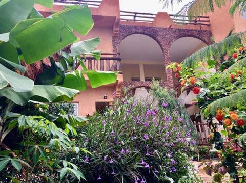 Property building, Garden