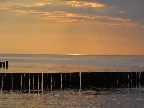 Exkl_ App_ Buhne_ Kamin_ W_LAN_ 25 Apartment in Mecklenburg-Vorpommern, Germany