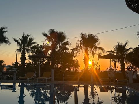 Day, Pool view, Swimming pool, Sunrise
