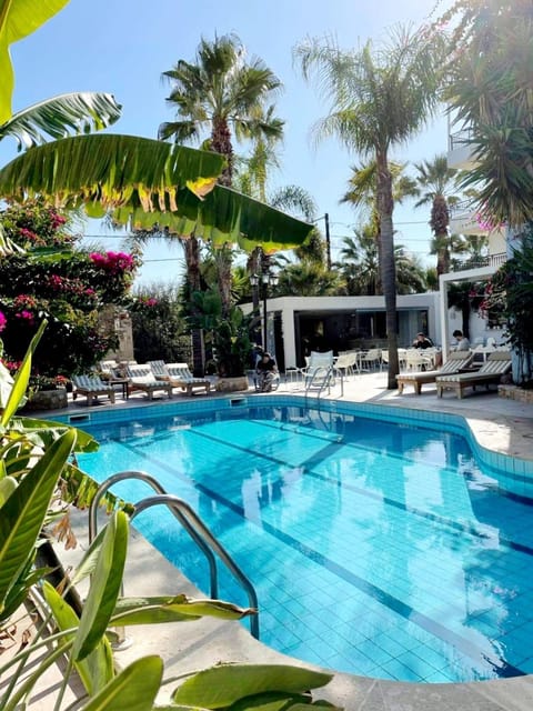 Restaurant/places to eat, Swimming pool