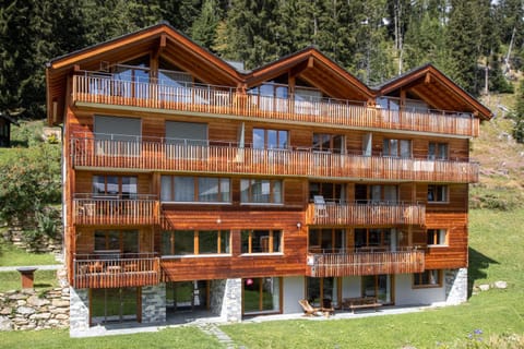 Property building, Summer, TV and multimedia
