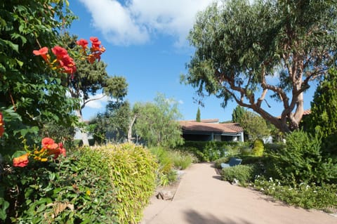 Garden, Area and facilities