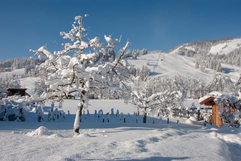 Das Glaagut - Familie Hain Farm Stay in Salzburgerland