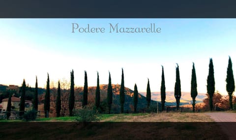 Natural landscape