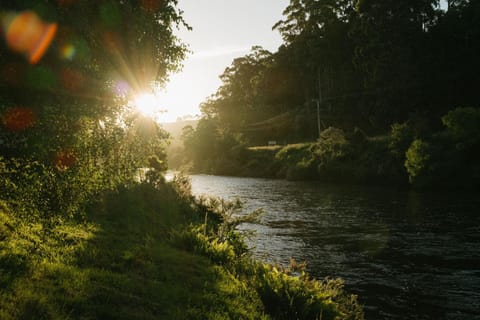 Forth River Cottage Apartment in Tasmania