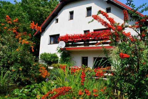 Day, Garden, Balcony/Terrace