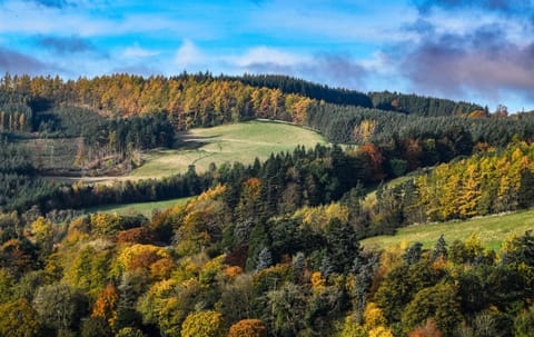 The Five Turrets House in England