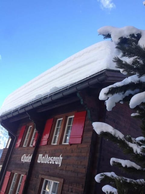 Chalet Waldesruh 2 Zimmerwohnung Apartment in Arosa