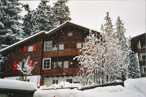 Chalet Waldesruh 3 Zimmerwohnung Apartment in Arosa