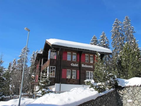 Chalet Waldesruh 3 Zimmerwohnung Apartment in Arosa
