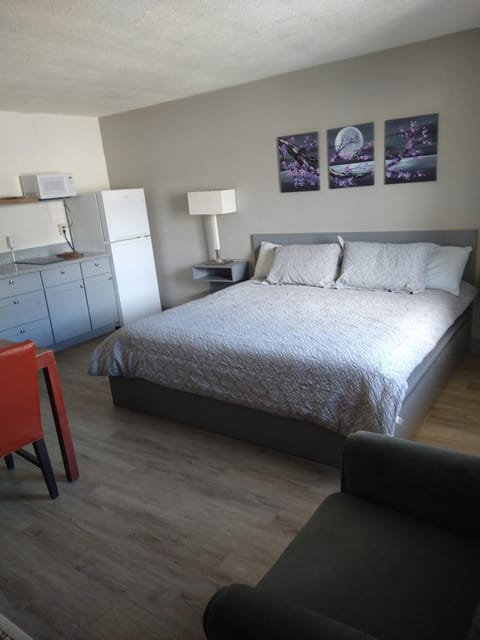 Bed, Kitchen or kitchenette, Photo of the whole room, Bedroom