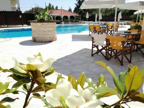 Pool view, Swimming pool, Swimming pool