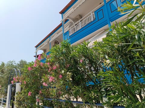 Facade/entrance, Day, Summer, Decorative detail, Garden view, Quiet street view