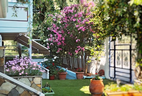 Facade/entrance, Day, Summer, Garden, Garden, View (from property/room), View (from property/room), Decorative detail, Decorative detail, On site, Garden view, Garden view