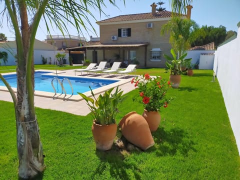 Garden, Swimming pool