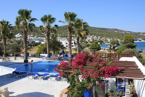 Property view