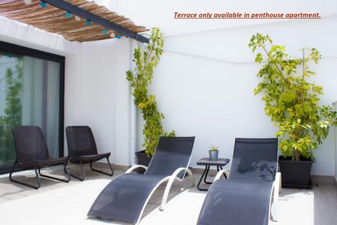 Patio, Balcony/Terrace, sunbed