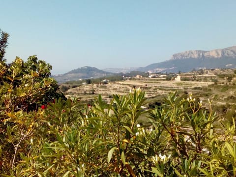 Mountain view