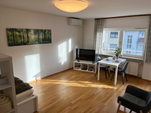 Wohnung am Neckar Apartment in Heidelberg