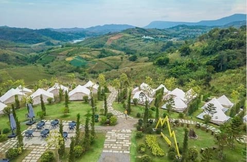 Natural landscape, Garden