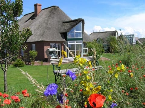 Property building, Summer, Garden, Garden view