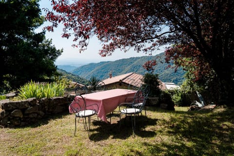 Day, Natural landscape, Garden, Garden view, Mountain view