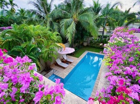 Garden, Garden view, Pool view, Swimming pool