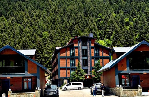 Property building, Spring, Day, Neighbourhood, Natural landscape, Mountain view, Street view, Parking