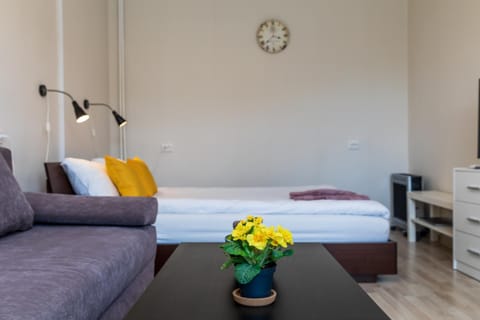 Compact apartment near Food Market in the Oldtown plus Free parking Apartment in Klaipėda