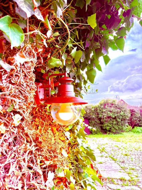 Property building, Spring, Day, Natural landscape, Summer