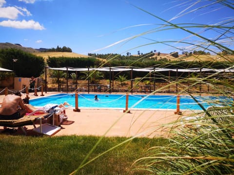 Natural landscape, Pool view, Swimming pool, sunbed