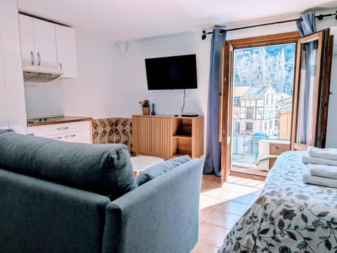 Bed, TV and multimedia, Kitchen or kitchenette, Living room, Bedroom