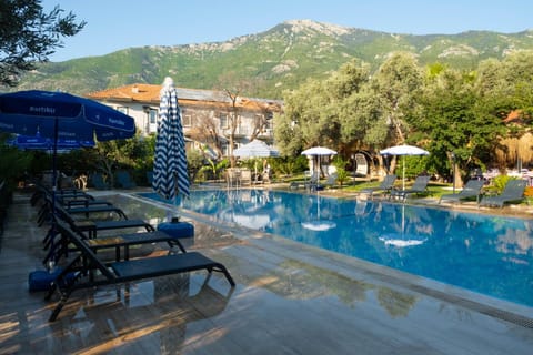 Garden, Swimming pool