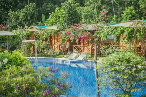 Garden view, Pool view, Swimming pool