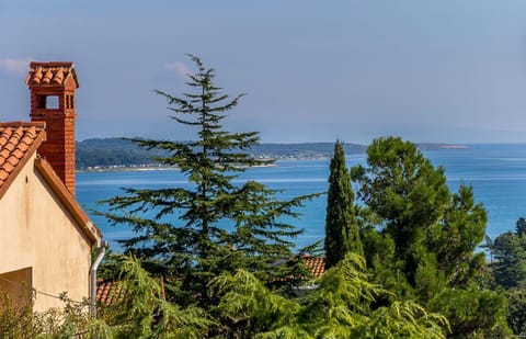 Apartment Lenka Apartment in Premantura