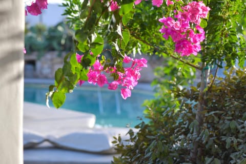 Spring, Day, Garden, Garden view, Pool view, Swimming pool