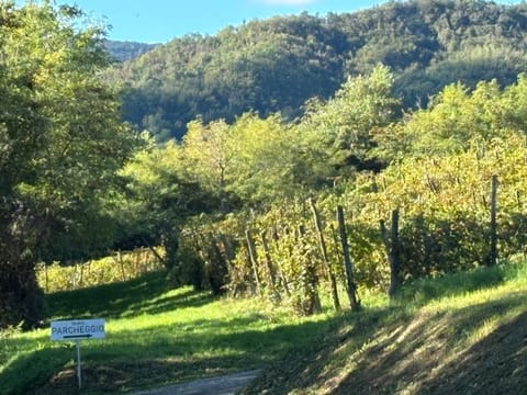 UvaMatta Farm Stay in Emilia-Romagna