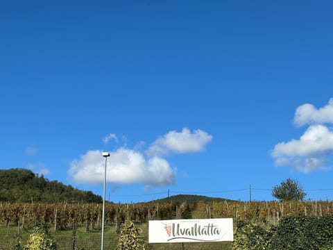 UvaMatta Farm Stay in Emilia-Romagna