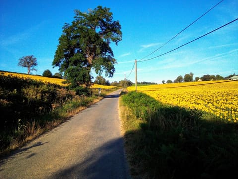 La Cour d'Enchère Bed and Breakfast in Centre-Val de Loire