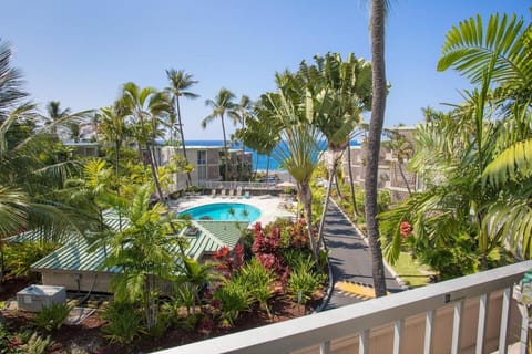 Pool view, Sea view