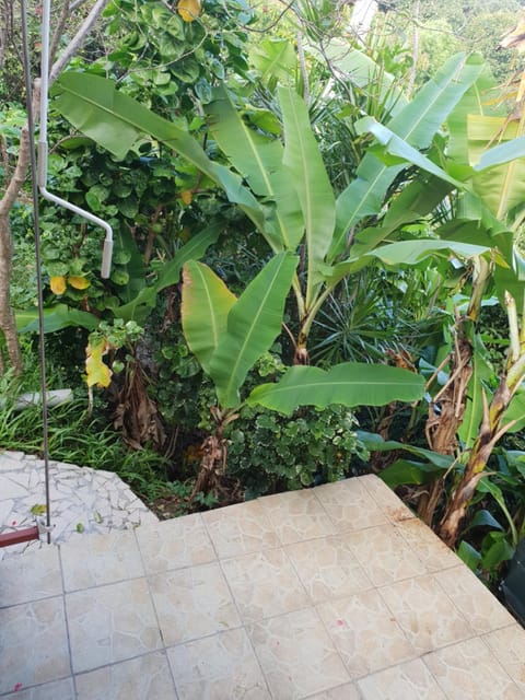 Léanne 9 House in Le Gosier