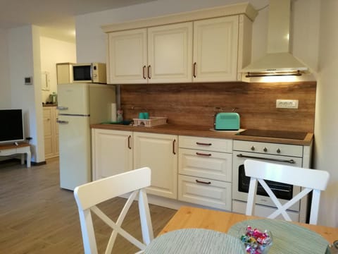 Apartment Lunaja Apartment in Piran