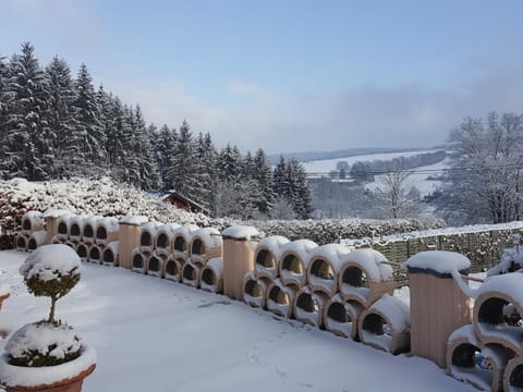 Die Alte Schule app Apartment in Wallonia, Belgium