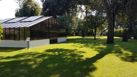 Garden, View (from property/room), Garden view