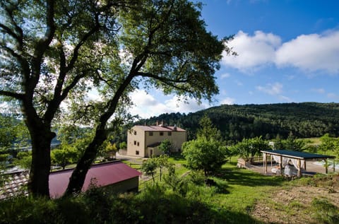 Natural landscape, Bird's eye view
