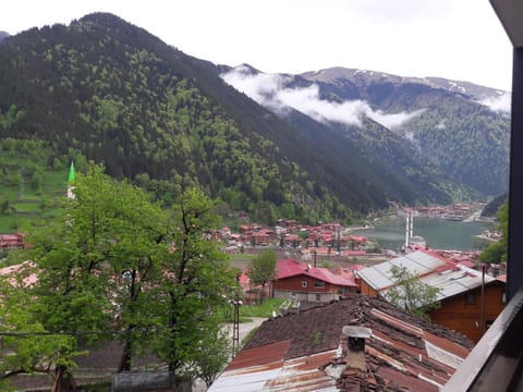 Natural landscape, View (from property/room), City view, Landmark view, Mountain view, Street view