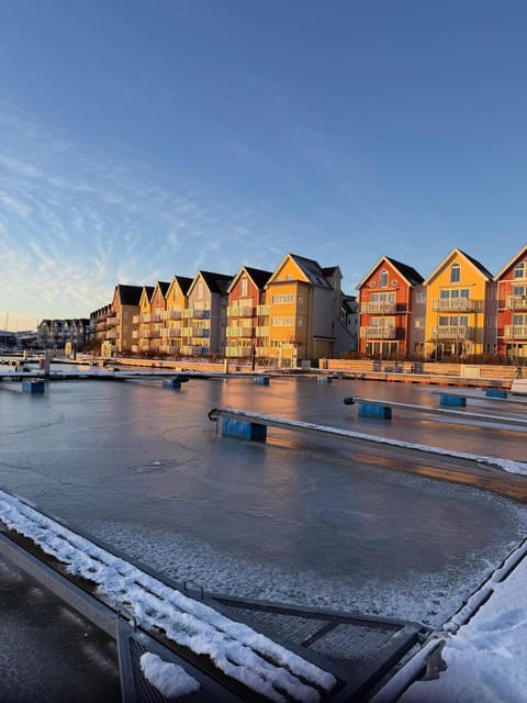 Seglerblick Apartment in Greifswald