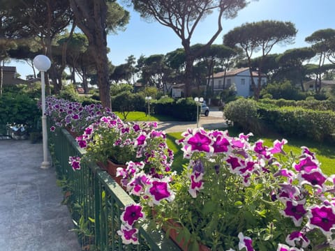 Residence delle Nazioni Apartment hotel in Principina a Mare