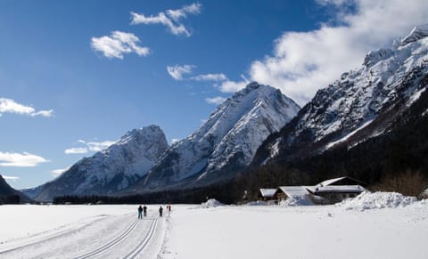 Rosumerhof Bed and Breakfast in Mittenwald