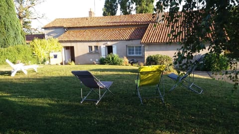 Summer, Garden, Garden view